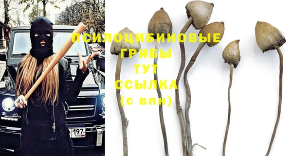 spice Алексин