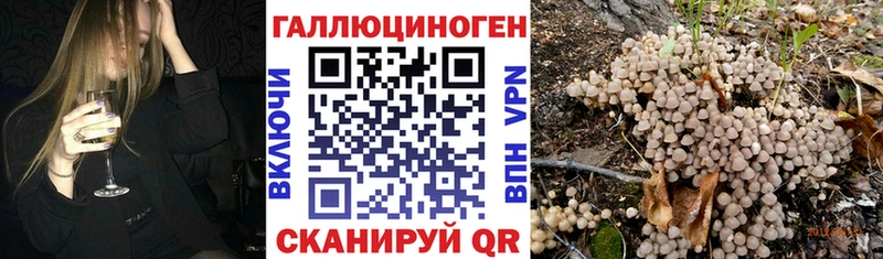 Галлюциногенные грибы Psilocybe Белово
