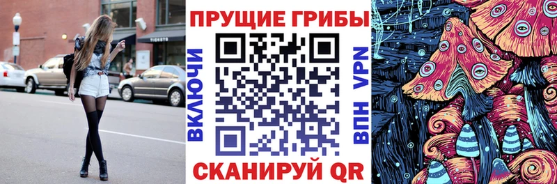 цена   Белово  Псилоцибиновые грибы MAGIC MUSHROOMS 