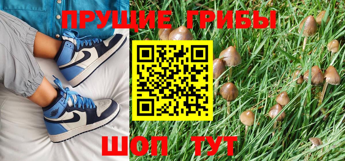 Псилоцибиновые грибы MAGIC MUSHROOMS  Вход с VPN  Галлюциногенные грибы MAGIC MUSHROOMS  Белово 