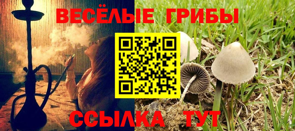 Галлюциногенные грибы прущие грибы Белово