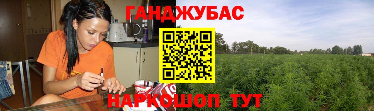Каннабис SATIVA & INDICA  Вход с VPN  Белово  Каннабис SATIVA & INDICA 